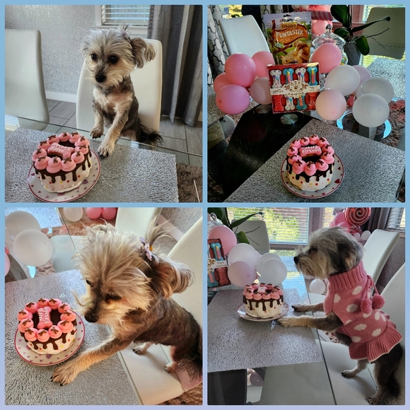 Meet your Posher, Vanessza 🐠Posh Ambassador🐠 - Picture 10 of 16